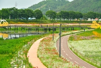 꽃으로 뒤덮인 황룡강