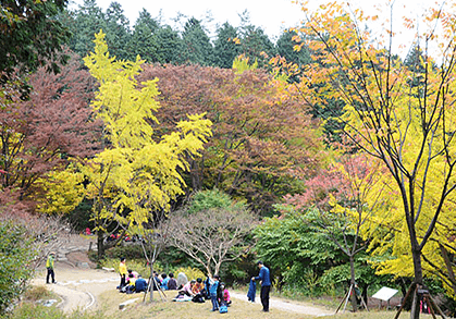 축령산 여행객들이 쉬고 있는 모습