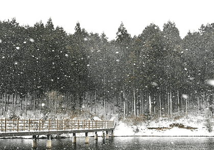 축령산 겨울 전경 모습