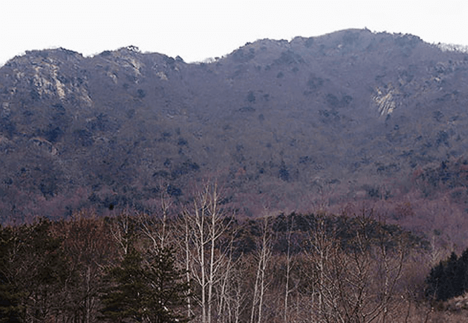 고성산 전경