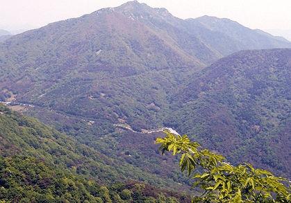 봄의 불태산