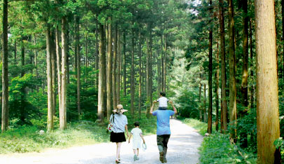 축령산 전경