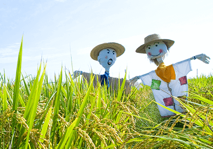 홍길동 숲마을 농사 체험해보기