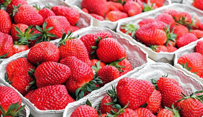 열량이 낮아 다이어트에 효과적인 딸기