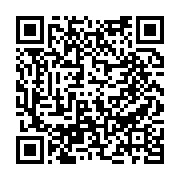 축제 페이지 바로가기 주소(https://www.jangseong.go.kr/q/ezMxMTZ8MTEwMzl8c2hvd3xwYWdlPTk3fQ==&e=M&s=3), QRCODE