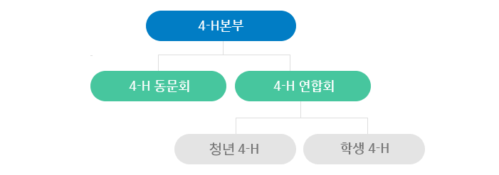 4-H 조직도