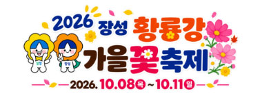 장성 황룡강 가을꽃 축제
