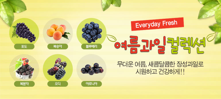 포도, 복숭아, 블루베리, 복분자, 오디, 아로니아 - 여름과일컬렉션 무더운 여름, 새콤달콤한 장성과일로 시원하고 건강하게!!