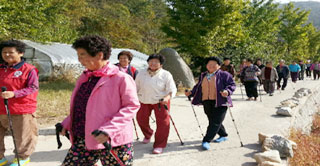 경로당 걷기 프로그램 사진