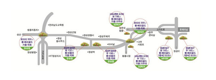 꽃동산지도 -- 로터리 300㎡(봄:메리골드,가을:국화-장성읍),장성역맞은편 좌측132㎡(봄:비올라,가을:국화-장성읍),장성역맞은편 우측198㎡(봄:비올라,가을:국화-장성읍),고려시멘트오거리 좌측198㎡(봄:메리골드,가을:가우라-농업축산과),고려시멘트오거리 우측132㎡(봄:메리골드,가을:가우라-농업축산과),고려시멘트로터리300㎡(봄:메리골드,가을:국화-기술보급과),장성IC입구 좌측165㎡(봄:메리골드,가을:숙근,코스모스-농촌지원과),장성IC우측165㎡(봄:메리골드,가을:숙근,코스모스-농촌지원과)