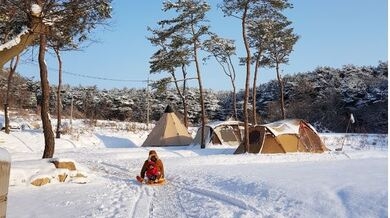 솔내음 물댄동산 야영장 사진