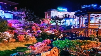 어울림편백펜션 사진