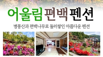 어울림편백펜션 사진