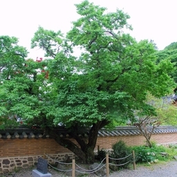 관련 사용자 이미지