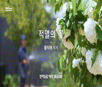 `2025 전라남도 정원 페스티벌` - 적멸의 꽃_황지해 작가-사진