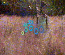 장성군B_관광_20s-사진