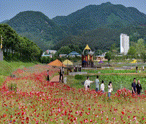 장성군C_사계_20s-사진