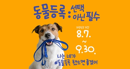 동물등록 선택 아닌 필수
자진신고기간 : 8.7. ~ 9.30.
나는 네가 #동물등록 했으면 좋겠어
(새창열림)