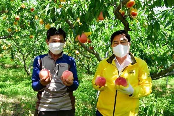 여름엔 역시~ 달콤 상큰한 장성 차돌복숭아! 이미지 1