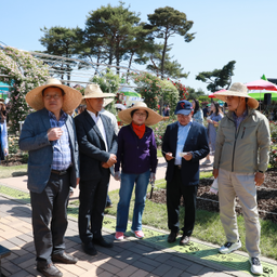 곡성 세계 장미축제 벤치마킹..., 이용자 제공 이미지