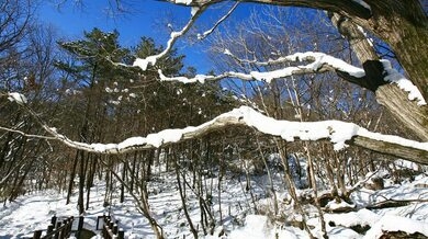 남창계곡