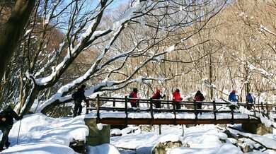 남창계곡