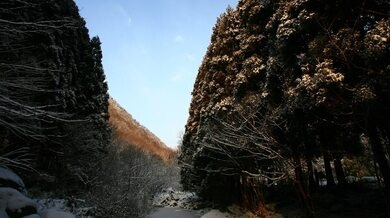 CF촬영소