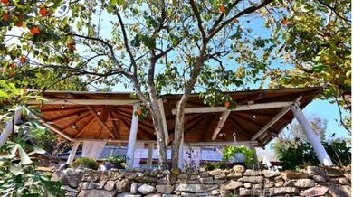 차 한 잔의 여유