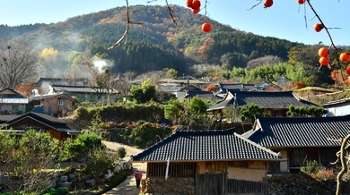 가을 금곡영화마을