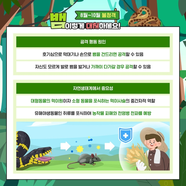 8월~10월 뱀 대처법! 이미지 3