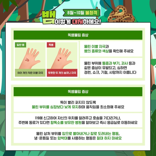 8월~10월 뱀 대처법! 이미지 4
