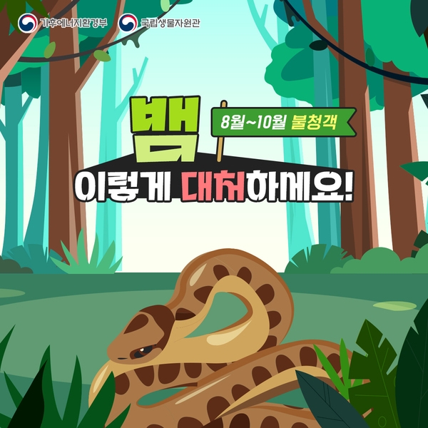 8월~10월 뱀 대처법! 이미지 1
