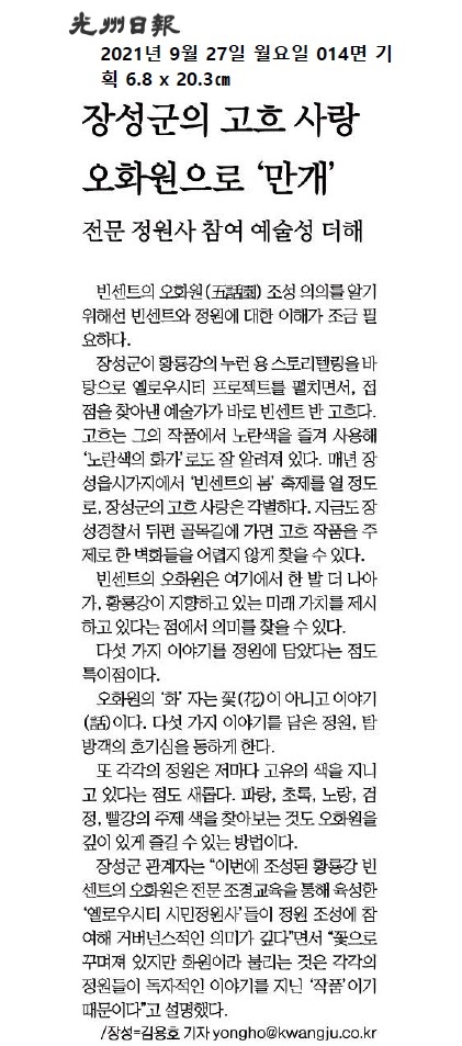 장성군의 고흐 사랑 오화원으로 만개  이미지 1