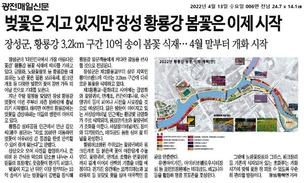 장성군, 황룡강 3.2km 구간 10억 송이 봄꽃 식재 이미지 1