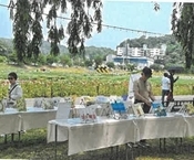 2024년「장성 황룡강 길동무 꽃길 축제」북캠프닉 운영