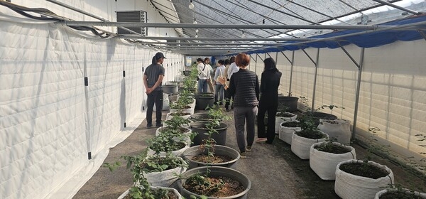 2025년 농가체험 교육 (교육발전특구 시범 사업) 이미지 2