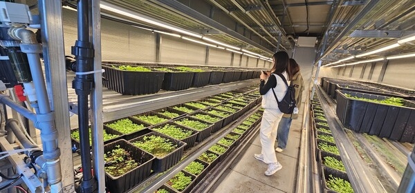 2025년 농가체험 교육 (교육발전특구 시범 사업) 이미지 2