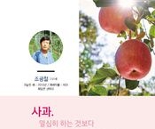 열심히 하는 것보다 제대로 하는 것이 중요합니다.