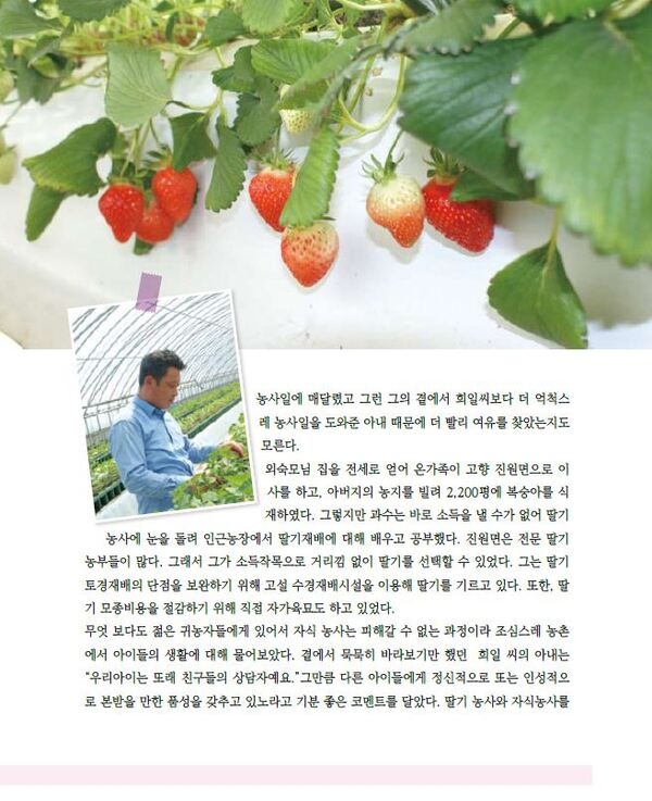 딸기는 웃음을 먹고 큰다 이미지 2