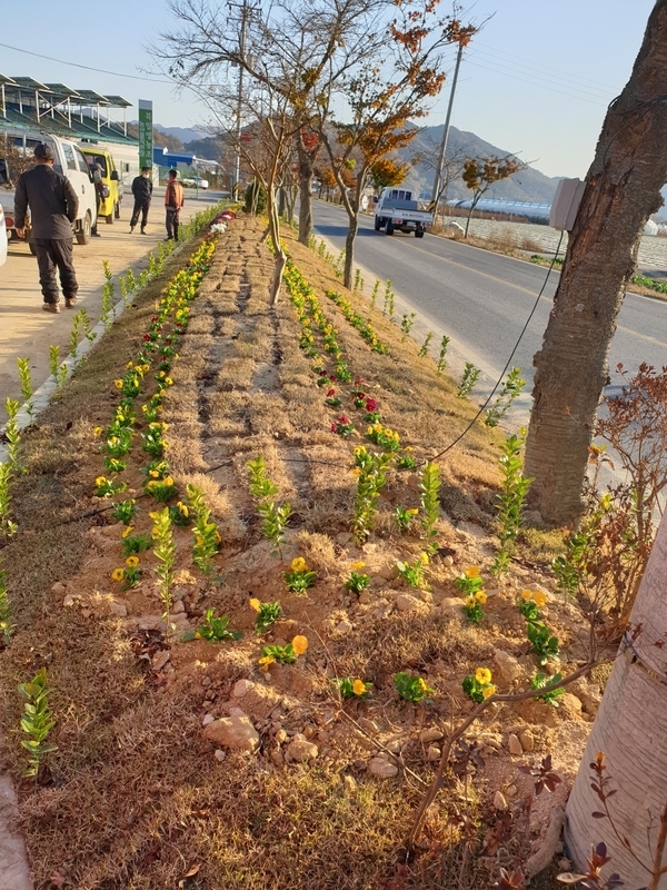 면소재지 다솜회관 앞 군민과 함께하는 옐로우시티 프로젝트 정원 안내 이미지 3