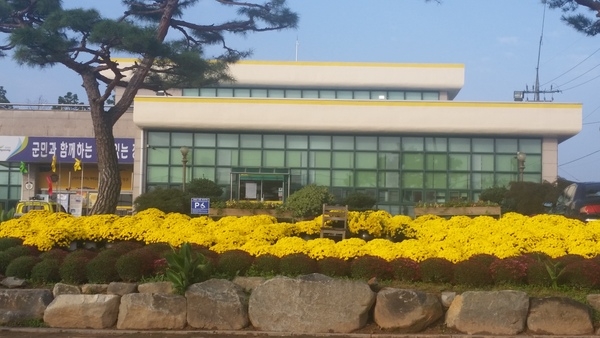 국화 향기 그윽한 남면 이미지 3
