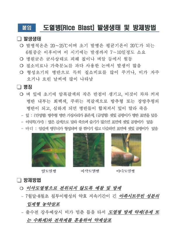 벼 도열병 발생생태 및 방제방법 알림 이미지 1