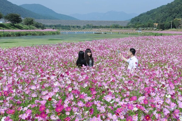 이름다운 황룡강 이미지 3