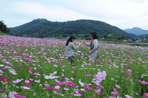 이름다운 황룡강 이미지 6