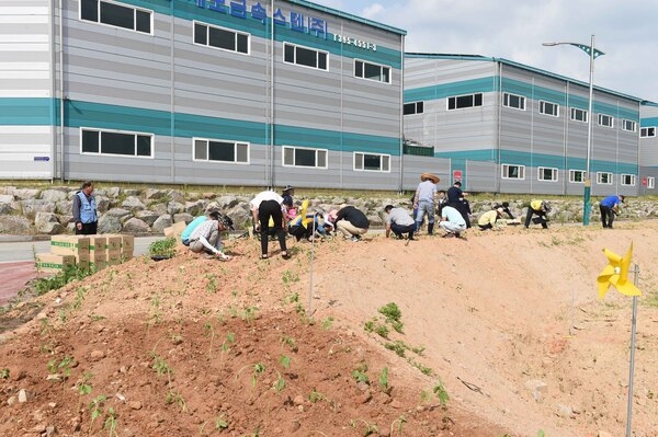 -포토- 장성 동화전자종합농공단지에 심은 ‘노란 희망’ 이미지 1