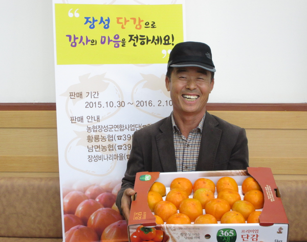 대한민국 국가대표 단감은?… ‘장성단감’   이미지 1