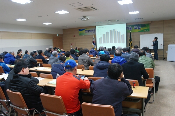 장성군, 고품질 햅쌀 수출로 ‘미래 쌀산업 돌파구’ 마련 이미지 1