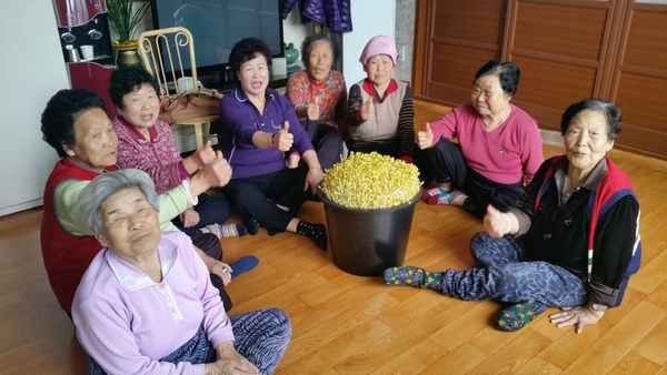 장성군, 경로당 마다 콩나물 쑥쑥! 활력 쑥쑥! 이미지 1