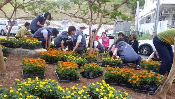 농협 장성군지부 앞 화단에도 ‘노란꽃향기’ 가득 이미지 1