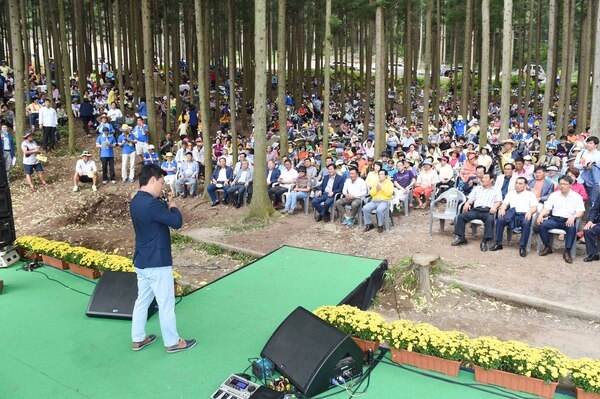 노란 해바라기 반기는 ‘축령산 편백산소축제 개막’ 이미지 2